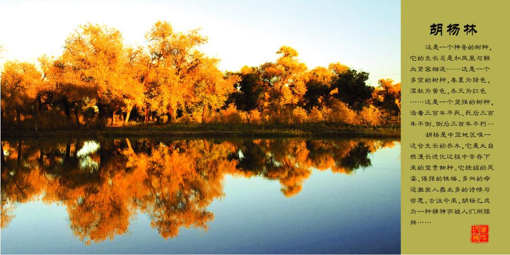 導(dǎo)游列表右側(cè)廣告3[270*120]