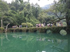 貴州黃果樹大瀑布、荔波小七孔、西江千戶苗寨、鎮(zhèn)遠(yuǎn)古城、梵凈山 雙飛6日游【29人精品小團(tuán)，尊享貴州 追尋自然地召喚，離開舒適圈，離舒適卻并不遠(yuǎn)；怕購(gòu)物團(tuán) 選真純玩；住雙景區(qū)看雙夜景】