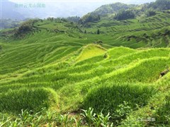 廣西桂林 象鼻山、天空之境、駱駝峰 七星景區(qū)、銀子巖、興坪漓江、日月雙塔 雙飛 5日游【乘船賞二十元人民幣背景圖案，網紅旅拍提供民族服飾穿戴】