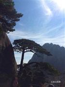 安徽黃山、翡翠谷 / 天湖歡樂(lè)谷漂流、宏村 純玩3日游【暢銷純玩不帶錢包的旅行；贈(zèng)送黃山往返景交、黃山上行索道，含2早2正餐】