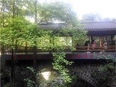 浙江藏龍百瀑、南潯古鎮(zhèn) / 春日抓雞挖筍 2日游