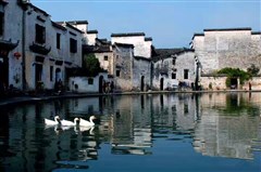 安徽黃山、宏村/呈坎、黎陽(yáng)in巷、屯溪老街 雙高3日游 【仙境黃山】