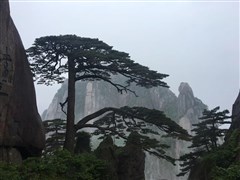 安徽黃山 觀日出、翡翠谷 純玩 3日游【錦繡黃山，住山上多人間高低鋪/山上2人間】