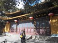 杭州西湖、普陀山祈福、水鄉(xiāng)烏鎮(zhèn) 3日游【拜道場(chǎng)，游江南】