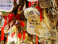 云南西雙版納 南糯山、墨江北回歸線公園、普洱國家森林公園、野象谷百鳥園、勐泐大佛寺、告莊西雙景 雙飛6日游【體驗潑水節(jié)、孔雀放飛、生物多樣原始叢林。解鎖版納秘境 暢享純玩；彩云之南 花樣旅行】