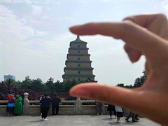 陜西西安 網(wǎng)紅大唐不夜城、唐華清宮、秦兵馬俑博物館、黃帝陵及軒轅廟、壺口瀑布、棗園、王家坪或楊家?guī)X、回民街 雙臥6日游【金色壺口、紅色延安】