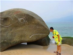 海南三亞 亞龍灣熱帶天堂森林公園、蜈支洲島暢玩（含玻璃棧道）、直升機(jī)小起落、贈(zèng)清新下午茶 雙飛5日游【輕奢*精致*網(wǎng)紅*純玩；高端精致10人小團(tuán)，獨(dú)家定制】