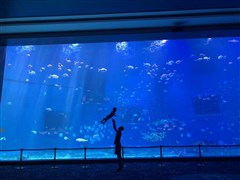 山東日照 奧林匹克公園、桃花島1天 / 多島趕海樂園 ＋嵐山科技館+海水浴場 純玩1日游【選一報名】