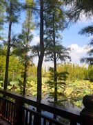 賈汪潘安湖濕地公園、船游池杉林、墨上集民俗文化園、王秀英香包藝術館 1日游【贈潘安湖門票、贈環(huán)湖游船、贈墨上民俗文化園】