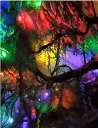 貴陽黃果樹瀑布、荔波小七孔、《多彩貴州風(fēng)》表演、西江千戶苗寨、青巖古鎮(zhèn)、天河潭 雙飛6日游【黔景戀；最美的顏色是自然的顏色，最好的風(fēng)景，是純凈的風(fēng)景。最好的心情，是透明的心情】