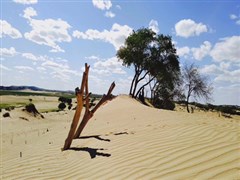 秦皇島南北戴河 山海關(guān)古城、老龍頭 秦皇求仙入海處、鴿子窩公園、豪華船游大海、仙螺島外灘、漁島海洋溫泉+好萊塢G秀表演、秦皇小巷 尊享純玩 5日游【純玩0進(jìn)店0自費(fèi)，升級海鮮大咖+非遺葷鍋