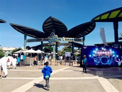 海南三亞 加井島（浮潛、摩托艇體驗等）、神州燈塔、游園會營地、趣味呆呆島+港灣游 船游疍家漁排、呀諾達雨林文化旅游區(qū)、南山佛教苑、海棠灣免稅店 5日【新潮玩法，12人輕奢小團一次嗨個夠；趣玩雙島，全程