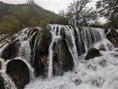 四川成都 九寨溝、黃龍、峨眉山、樂山大佛、都江堰、青城山（或者熊貓基地）綿陽 雙飛8天【全景高品推薦；羌族/藏族特色美食；0自費(fèi)景點(diǎn)】