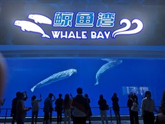 徐州歐樂(lè)堡海洋館