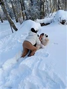 吉林霧凇、萬科滑雪、秘境長白山、霧凇漂流、東北虎園、鏡泊湖冰瀑、中國雪鄉(xiāng)、馴鹿園、哈爾濱冰雪大世界 雙飛7天【吉進(jìn)哈出，長白山+延吉黃金小環(huán)線，不走回頭路，升級2+1保姆車小包團(tuán)】