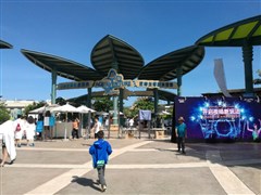 海南三亞 亞特蘭水世界+水族館、海棠灣國際免稅店、豪華私家游艇3小時激情出、蜈支洲島、亞龍灣天堂森林公園 雙飛6日游【真正高端局 純玩無套路：七星枕浪體驗+7D感官沉浸 +GET在海里入睡的秘籍】