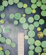 云南昆明 西山森林公園、野象谷、中科院熱帶植物園、原始森林公園、茶山、告莊西雙景、總佛寺 雙飛雙動6日游【最適合家庭出游的西雙版納旅游路線；20成人小包團 體驗有深度】