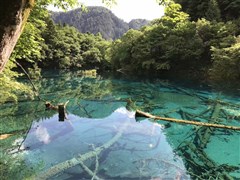 四川成都 都江堰、青城山、樂山、峨眉山 5日游【看巴山蜀水 賞名勝古跡】