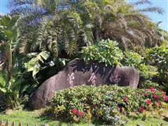 廣東潮汕 潮州古城 開元寺、汕頭公園 老媽宮、南澳島 青澳灣沙灘、東山島 寡婦村 蘇峰山環(huán)島路、泉州蟳埔村 蓮花道場 6日游