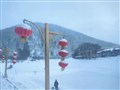 黑龍江哈爾濱 亞布力滑雪、馬拉爬犁、童話雪鄉(xiāng)、夢(mèng)幻家園、中央大街、冰雪世界 雙飛5天【2-8人小拼團(tuán)，裹著貂露著腰】
