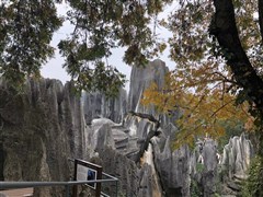 云南昆明 大理、麗江、西雙版納、瀘沽湖、香格里拉、騰沖、瑞麗、芒市 雙飛雙動14天【純玩大全景，一次游覽完云南11城33景】