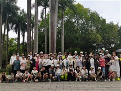 廣西南寧 北海銀灘、德天跨國(guó)大瀑布、巴馬長(zhǎng)壽島 百魔洞 百鳥巖、古龍大峽谷、鵝泉 6日游【又見花千骨 贈(zèng)送《夢(mèng)巴馬表演》；全程0自費(fèi)有購(gòu)物不強(qiáng)制】