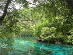 四川成都 樂山大佛、峨眉山（二進(jìn)峨眉）、青城山、都江堰、大熊貓基地、三星堆或金沙遺址 6日游【品嘗峨眉山養(yǎng)生晚宴 安心游真純玩】