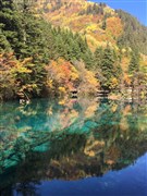 四川成都 自由活動(dòng)一天、熊貓基地、三星堆或金沙遺址、樂山大佛“抱佛腳”、峨眉山金頂 雙飛6日游【特惠臻純玩 行程無憂；當(dāng)?shù)厣?jí)2+1陸地頭等艙；住宿網(wǎng)評(píng)四鉆酒店】