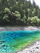 四川成都 九寨溝、黃龍、都江堰、熊貓基地、三星堆或金沙遺址 雙飛6日游【九寨度假游標(biāo)桿產(chǎn)品】