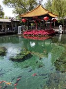 濟南趵突泉、明水古城（白+黑暢游）、大明湖、解放閣、黑虎泉、芙蓉街 2日游【帶您解鎖小泉城，真純玩更舒適】