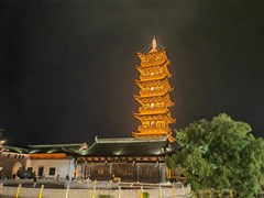 龍之夢太湖演藝城、龍之夢動物園、冰雪小鎮(zhèn)、圖影濕地含船游 3日游【贈送水舞燈光秀，升級豪華2+1或半臥】