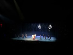 山東臨沂 瑯琊古城（白天+夜游）、銀座天蒙 2日游【沉浸式互動演繹，特別贈送沂蒙小調(diào)】