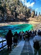 四川成都 九寨溝、黃龍、熊貓樂園或都江堰、峨眉山金頂、樂山大佛游江 6日游【純玩游：A線淳雅九黃熊 B線堰雅九黃都】