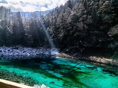 四川成都 樂山大佛、峨眉山（二進(jìn)峨眉）、青城山、都江堰、成都大熊貓基地、三星堆或金沙遺址 6日游【品峨眉山養(yǎng)生晚宴，真純玩】