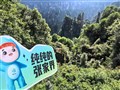 湖南張家界 國家森林公園（袁家界*百龍電梯*金鞭溪）、大型民俗表演、湘西苗寨、芙蓉鎮(zhèn)、鳳凰古城、天門山玻璃棧道*天門洞 矮寨大橋、土司王府 5日游【一價(jià)全含·舒適型住宿+升級(jí)1晚當(dāng)?shù)販?zhǔn)五星酒店或高端客
