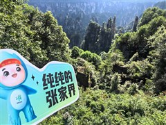 湖南張家界 國(guó)家森林公園（袁家界*百龍電梯*金鞭溪）、大型民俗表演、湘西苗寨、芙蓉鎮(zhèn)、鳳凰古城、天門(mén)山玻璃棧道*天門(mén)洞 矮寨大橋、土司王府 5日游【一價(jià)全含·舒適型住宿+升級(jí)1晚當(dāng)?shù)販?zhǔn)五星酒店或高端客